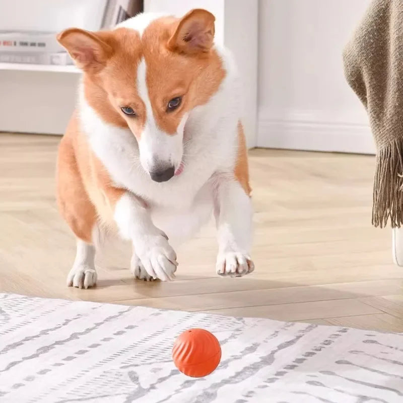 Pelota de juguete con movimiento automático.