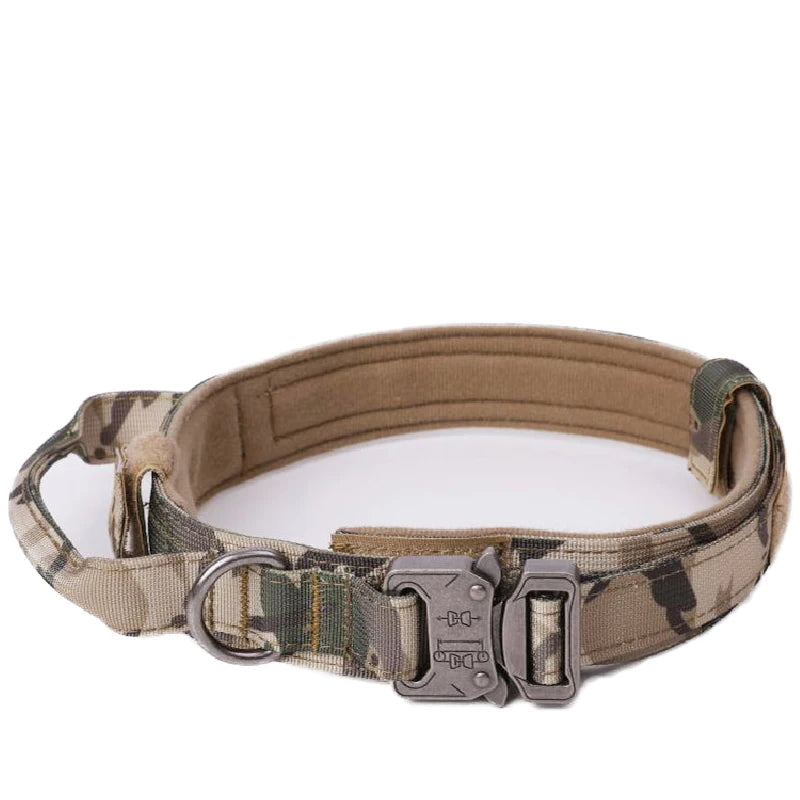 Conjunto de correa y collar para perro.