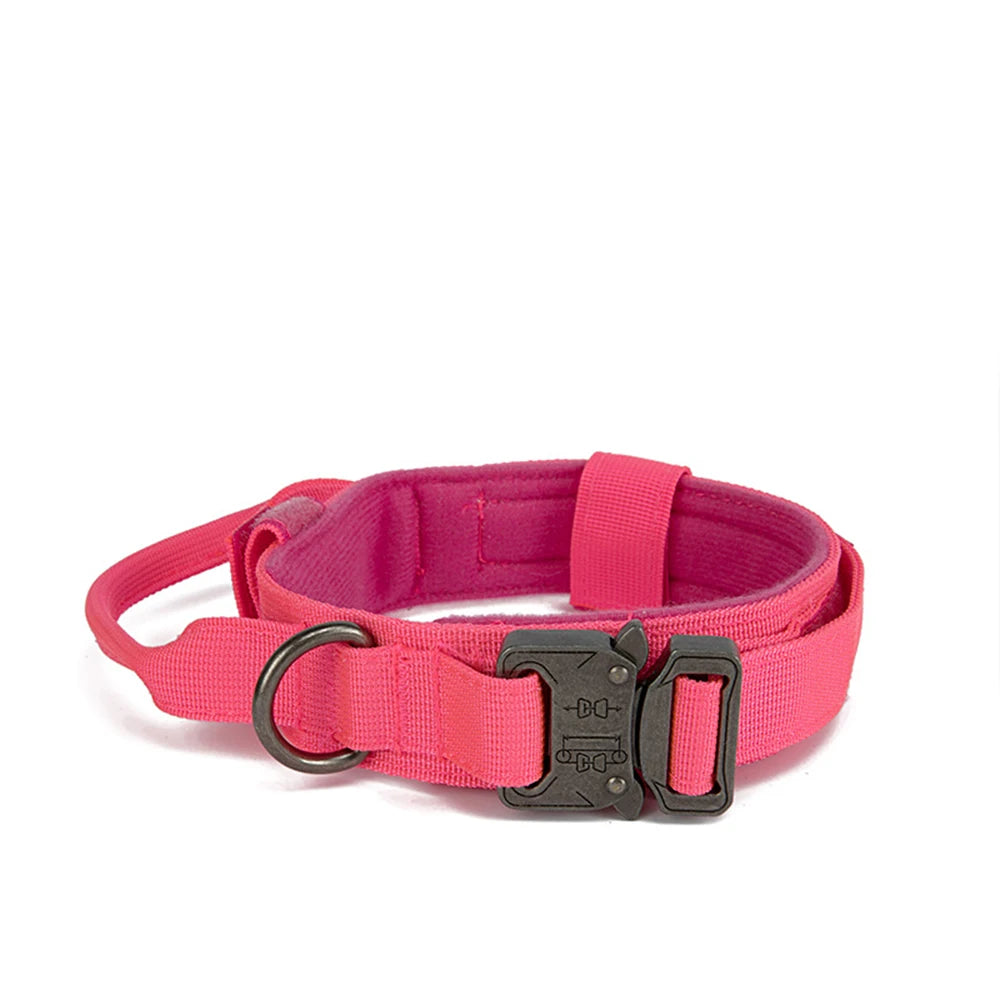 Conjunto de correa y collar para perro.