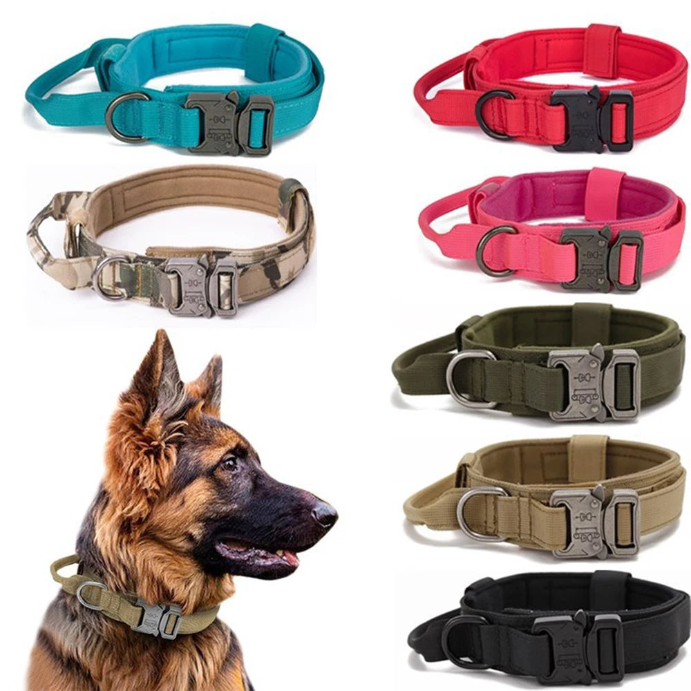 Conjunto de correa y collar para perro.