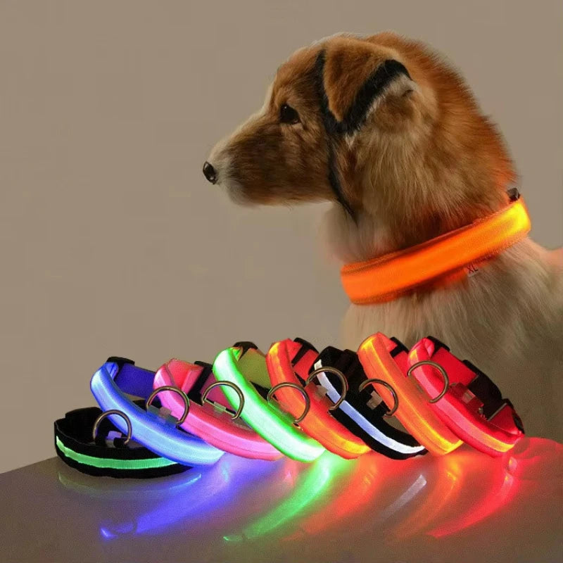 Collar nocturno LED.