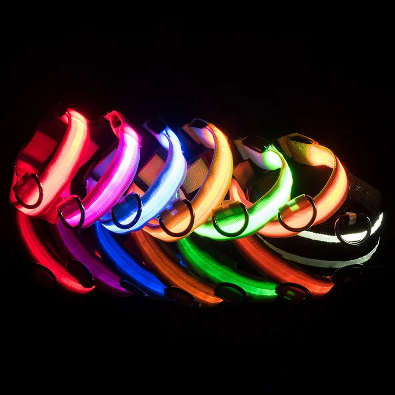 Collar nocturno LED.