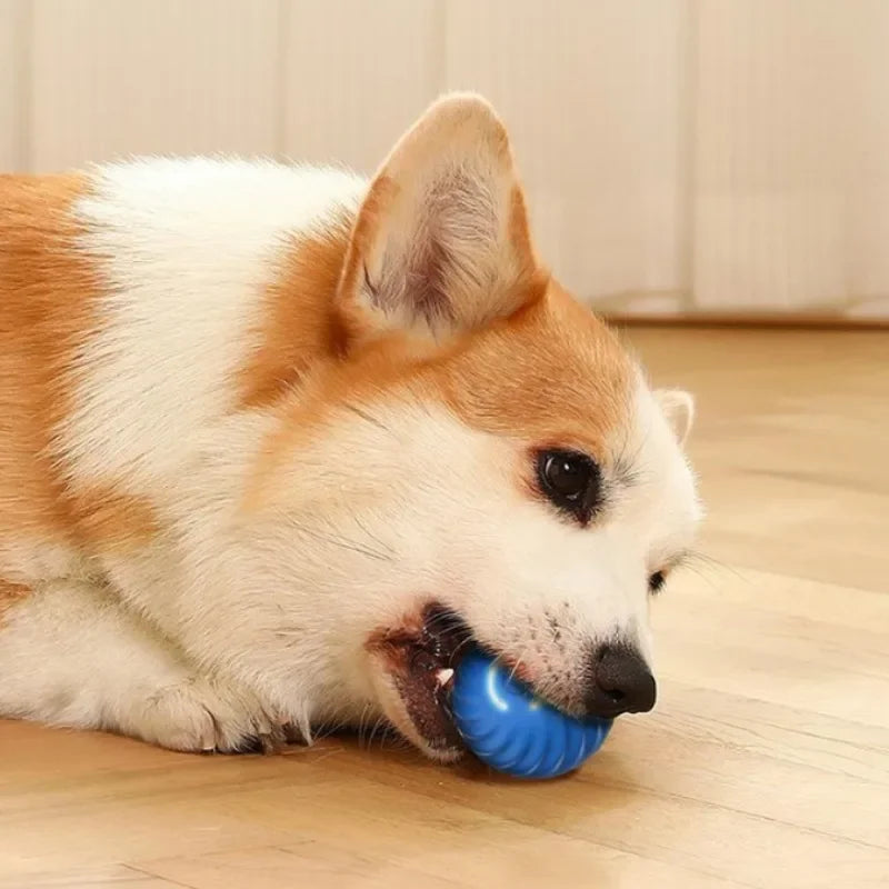 Pelota de juguete con movimiento automático.